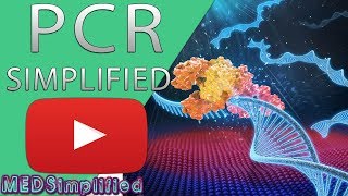 PCR  Polymerase Chain Reaction Simplified [upl. by Maon]