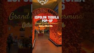 Celebrate Dia de los MuertosGrand Central Station with Espolon Tequila Free 8am8pm diademuertos [upl. by Nahum]