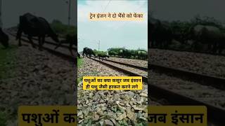 Train amazing horn train status train ki awaaz trainhorn shortviral ytshorts shorts [upl. by Shreeves]