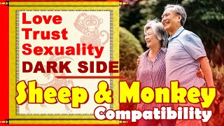 Sheep and Monkey Compatibility in Love Life Trust Intimacy  Sheep amp Monkey Zodiac Compatibility [upl. by Acir]