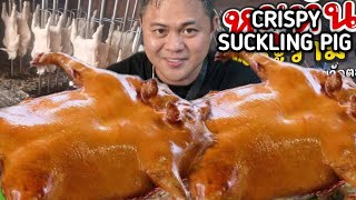 CRISPY SUCKLING PIG  CONCHINILLO  THAILAND FOOD ADVENTURE  TOL BULOY MUKBANG [upl. by Irwinn]