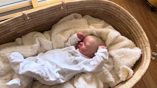 DetailsSale Video for Realborn Michael by Bountiful Baby Reborned by Renata Kunz [upl. by Oterol]