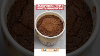 ✅ GÂTEAU AU CHOCOLAT PRÊT EN 15 MINUTES SERVI DANS UN MUG [upl. by Ibor899]