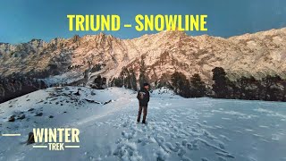 Winter Trek to SNOWLINE 3350msnowfall Dharamshala via TriundDHARAMSHALATriund trek [upl. by Nnylsaj]