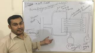 Hemodialysisartificial kidney 10th class [upl. by Dirgni]