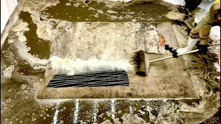 Satisfying ASMR Carpet Cleaning  Deep Clean Carpet By Hand [upl. by Hutner]