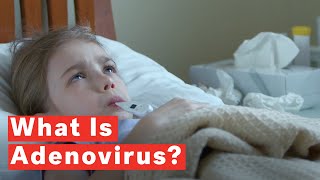 What Is Adenovirus [upl. by Elyr528]