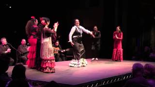 Flamenco Abierto  Bulerias [upl. by Lettie]