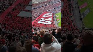 Allianz Arena atmosphere Bayern Munich [upl. by Champaigne468]