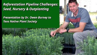 PostFire Reforestation Pipeline Challenges Seed Nursery amp Outplanting Aug 2023 [upl. by Arriaet]