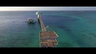 Fish Eye Marine Park Guam [upl. by Brandyn598]