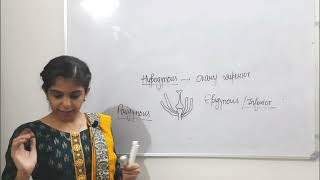 Morphology of Flowering Plants class11biology biology cbse [upl. by Adnohsak]