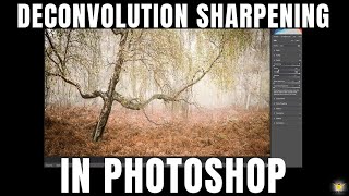 How To Use Deconvolution Sharpening In Adobe Lightroom [upl. by Yaakov]