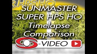 Sunmaster SUPER HPS HO vs 1000W HPS [upl. by Sirdi421]