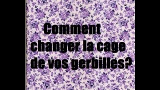 GERBILLESComment changer la cage de vos gerbilles [upl. by Alden]