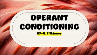 Operant Conditioning [upl. by Phyllida10]