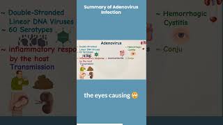 Summary of Adenovirus Infection microbiology101 science bacteria virology [upl. by Saihttam]