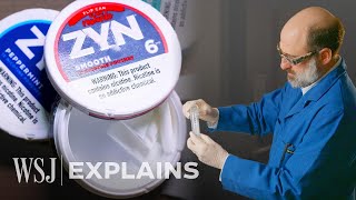 What’s Inside Zyn Nicotine Pouches We Tested Six Flavors  WSJ [upl. by Festus179]