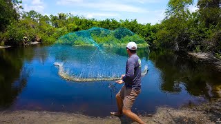 What lives in this little pond Lets find out Cast Netting 1000s of fish [upl. by Laughlin]