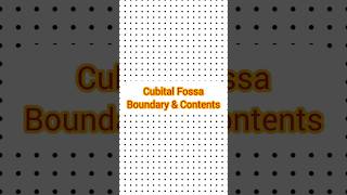 Cubital Fossa with Boundary amp Contents  Mishu  SSNIMC [upl. by Onfroi]