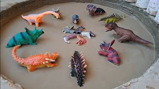 Dinossauros de Plástico Presos na Lama Tiranossauro Rex Triceratops Braquiossauro Pentaceratops [upl. by Bastien666]