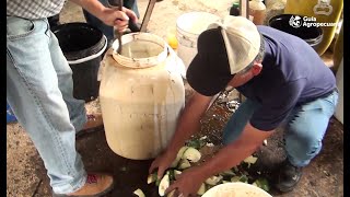 Biol de Germinados de Harina de huesos y de Polvo de piedra Expositor Gabriel Rodríguez [upl. by Neehsuan]