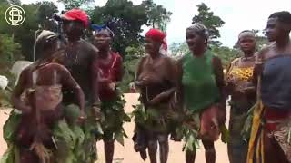 Unveiling Congo Pygmies dancing learn more pygmies tribes congopygmies [upl. by Lyell]