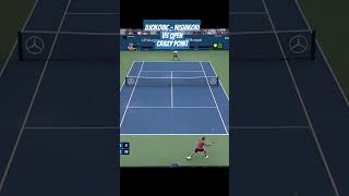 Djokovic  Nishikori Us Open Crazy Point [upl. by Dannie]