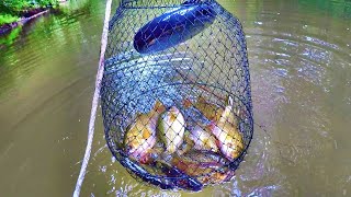 Easy Way To Catch A Delicious Eating Panfish [upl. by Wilkey925]