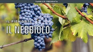 Conoscere il Nebbiolo  Tannico Flying School [upl. by Otcefrep]