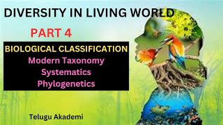 Diversity in living worldPart 4 biologicalclassification taxonomy phylylogentics systematics [upl. by Ettenwahs999]