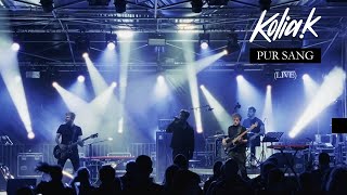 Kolia K  Pur Sang Live [upl. by Ahslek79]