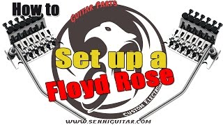 How to Set Up a Floyd Rose Vibrato [upl. by Cnahc]