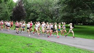 Adidas Podium 5k Race 3 Ladies  2023 [upl. by Naeerb]