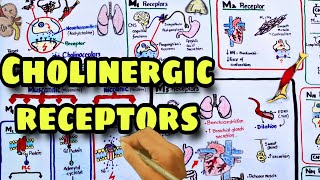 Cholinergic receptors  Muscarinic and Nicotinic receptors  Pharmacology [upl. by Earissed531]