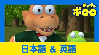 子供英語の勉強  トントンの家に行こう  ポロロと英語勉強します  ポンポンポロロ  ポロロ日本語 [upl. by Elokin69]