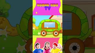 Turtle Bus  Funny Kids Songs amp Nursery Rhymes by Nomad Kids shorts kidsongs [upl. by Arda555]