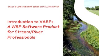 Introduction to VASP A WSP Software Product For Stream River Professionals [upl. by Luben295]