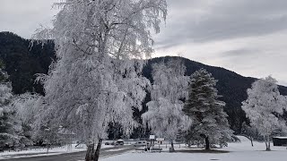 Splendide decorazioni del gelo in val Vigezzo gennaio 2024 [upl. by Oniratac]