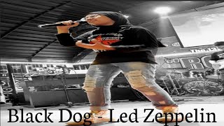 Black Dog  Led Zeppelin Cover Amel Najla [upl. by Ayian804]