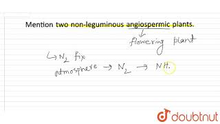 Mention two nonleguminous angiospermic plants [upl. by Ozkum]