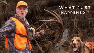 RECOVERING A GIANT 170 INCH OHIO WHITETAIL  Using A DOG To Find DEER [upl. by Deerc]