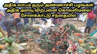 கொல்லிமலை சொளக்காடு அன்னாசி பழ சந்தையில் அதிக அளவில் விற்பனையாகும் பழங்கள்அண்ணாசி செடிU2Vivasayam [upl. by Obnukotalo]