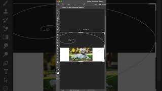 Expand Images with Generative Fill in Photoshop beta shorts photoshop [upl. by Nnahsal]