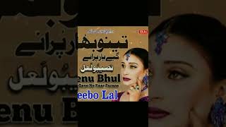 Naseebo Lal NewLoveMusicSong [upl. by Zennas]