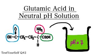 Glutamic Acid in Neutral pH 7  TestYourSelf Answer Question 2 [upl. by Taimi342]