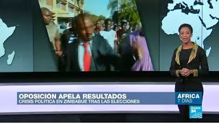 Primeras elecciones en Zimbabue traen esperanza a los agricultores [upl. by Tak]