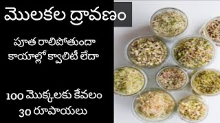 190మొక్కలకు మొలకల ద్రావణం MICRO NUTRIENTS and PLANT HORMONS for plants [upl. by Yeoz64]