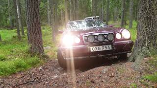 W210 E280 4matic offroad [upl. by Halik]