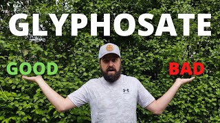 How Harmful Is Glyphosate [upl. by Noval826]